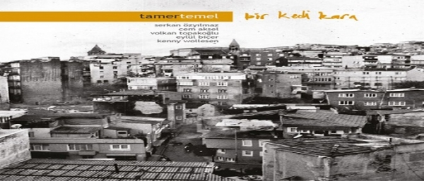 Tamer Temel - Bir Kedi Kara Albümü